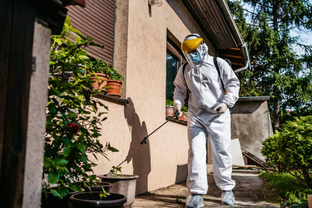 Best Affordable Exterminators  in Azusa, CA