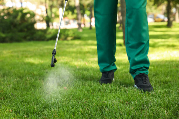 Best Emergency Pest Control  in Azusa, CA