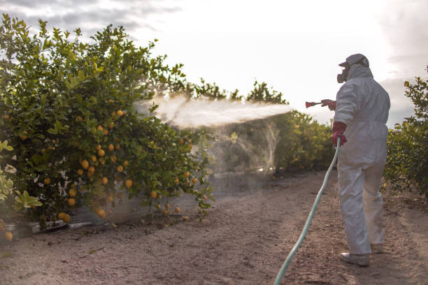 Best Best Pest Control Companies  in Azusa, CA