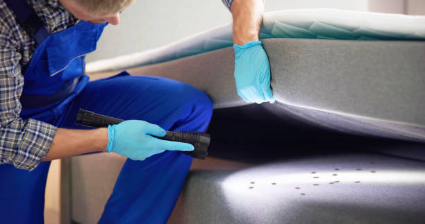 Best Ant Control Services  in Azusa, CA