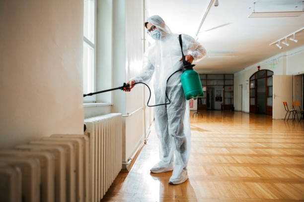 Best Termite Control Services  in Azusa, CA