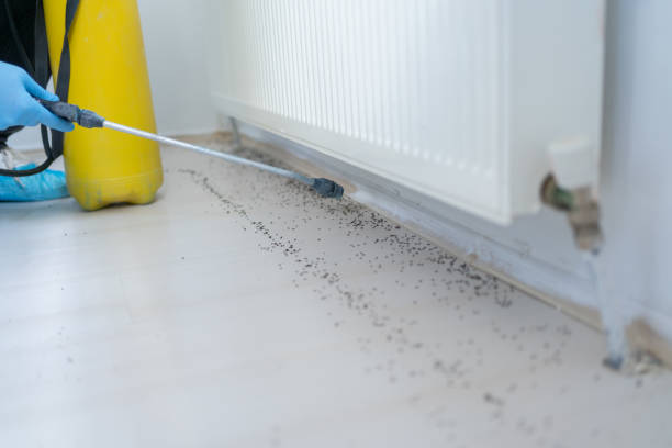 Reliable Azusa, CA Pest Control Solutions